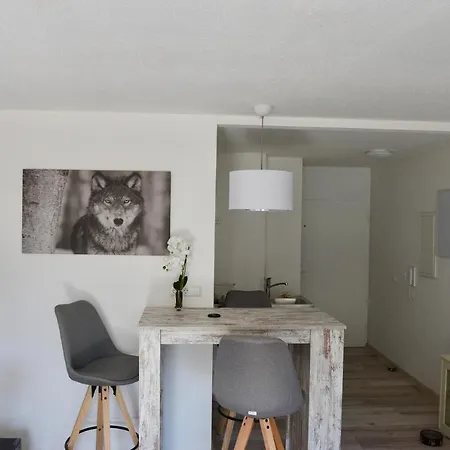 Apartment Wolf Nummer 69 Baiersbronn